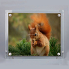 16"Bevel Crystal Photo Frame with Four Holes BL13